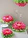 Butterfly Craze Girls Party Decorations - Set of 7 Tissue Paper Flowers … (Pink)