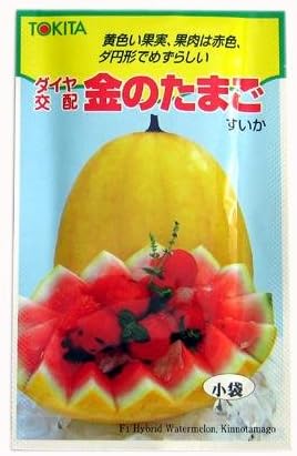 スイカ 種 金のたまご 種子 小袋 約10粒