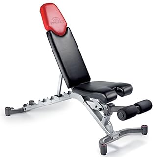 Bowflex 5 1 Adjustable Weight Bench B000bh283o Amazon Price