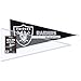 BCW 12x30 Pennant Topload Holder (10 Pack) | Premium PVC Protection for Sports Memorabilia