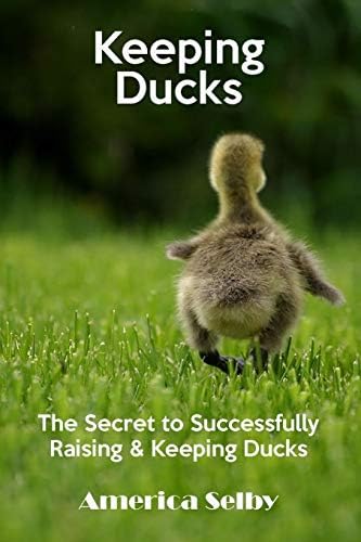 Keeping Ducks The Secret to Successfully Raising & Keeping Ducks: The Secret to Successfully Raising & Keeping Ducks: Volume 1 (Keep Animals)