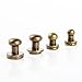 WUTA Solid Brass Round Head Screw Studs Brass Button Nail Rivet Chicago Leathercraft Accessories 20pcs/Pack,10mmX8mm Bronze