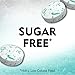 ICE Breakers Mints (Wintergreen, Sugar Free, 1 1.5-Ounce, Pack of 2)