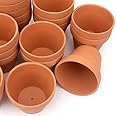 CFKJ 26 Pack 4" Terracotta Planter Pots, Clay Succulent Pots, Indoor, Brown, Solid, Classic Style, Drainage Hole, Tabletop, Plant Theme