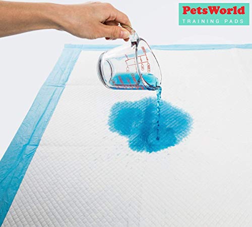 PETSWORLD Dog Training Puppy Pads 23x36, Case of 100 Dog Pee Pads, Basics Doggy Pee Pad, Good for Do - //medicalbooks.filipinodoctors.org