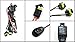 Winjet Kit-N Wiring Kit - Fog Light Switching Relay, Black, KIT-N