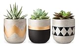 Mkono Cement Succulent Planter Set of 3 Concrete