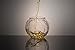 Prestige Decanters Soccer Whiskey Glass - Rocks Glass for Rum, Tequila, Scotch, Glasses- Whiskey Gifts - 10oz Cocktail, Lowball, Old Fashioned Glass (Set of 2) Unique Bar Decor & Bourbon Gifts