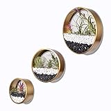 Gold 3 Pcs Round Indoor Wall Succulent Hanging Planter, Metal Decorative Freestanding Mount Holder with Glass for Air Plants, Faux Flower