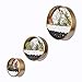 Gold 3 Pcs Round Indoor Wall Succulent Hanging Planter, Metal Decorative Freestanding Mount Holder with Glass for Air Plants, Faux Flower