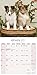 Shetland Sheepdog Calendar 2017 - Sheltie - Dog Breed Calendars - 2016 - 2017 wall calendars - 16 Month by Avonside