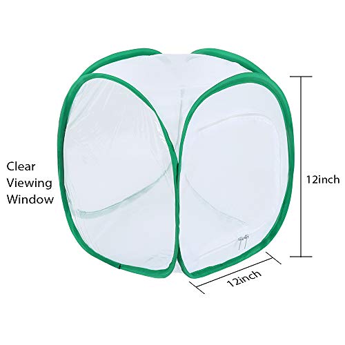 1 Pllieay+Butterfly+Collapsible+Light+transmitting+Activities