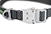 Mighty Paw Metal Buckle Dog Collar, All Metal Hardware, Lightweight Collar, Reflective Stitching, Strong, Durable (Medium, Grey)