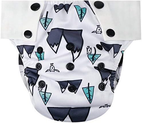 HappyEndings Toddler/Kid Pull On Reusable Cloth Diapers/Training Pants (Medium, (Fits 35-50lbs), Mountains)