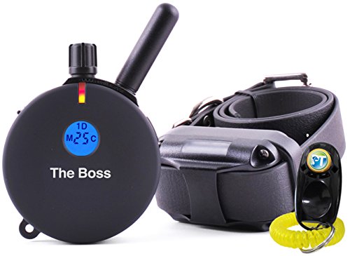 Bundle of 2 items – E-Collar – ET-800 – 1 Mile Rechargeable Remote Waterproof Trainer Educator – Static, Vibration and Sound Stimulation collar with PetsTEK Dog Training Clicker