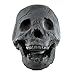 Myard Fireproof Imitated Human Fire Pit Skull Gas Log for NG, LP Wood Fireplace, Firepit, Campfire, Halloween Decor, BBQ (Qty 1, Black)