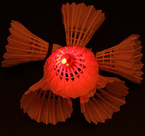 Inngree LED Badminton Birdies, LED Colourful Shuttlecock Dark Night Goose Feather Glow Birdies Lighting Outdoor Indoor Sport Activities (Colourful-6pcs)