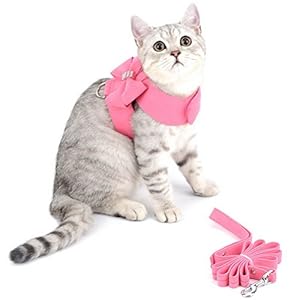Zunea Set di imbracatura e guinzaglio per gatto/cane piccola taglia scamosciato pettorina morbido con fiocco e strass…