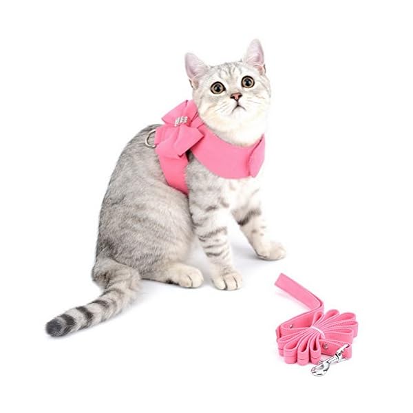 Zunea Set di imbracatura e guinzaglio per gatto/cane piccola taglia scamosciato pettorina morbido con fiocco e strass…