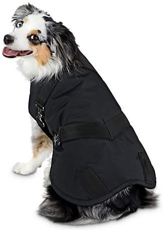 Amazon Com Good2go Horse Blanket Dog Coat Large Kitchen Dining