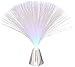 NUIGSUT POINT Color Changing Fiber Optic Light with Silver Base