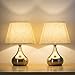 HAITRAL Small Bedside Table Lamps Set of 2 - Unique Elegant Bedside Desk Lamps with Silver Brushed Nickel Base，Modern Lamps for Living Room (Non-Touch Switch)