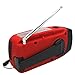 iRonsnow Upgraded Version IS-088U+ Dynamo Solar Hand Crank Self Powered AM/FM/NOAA Weather Radio with LED Flashlight and 1000mAh Emergency Power Bank (Red)
