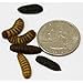Tasty Grubs 8oz Dried Black Soldier Fly Larvae Bag Made in USA