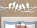 BIBITIME Tree Branches Wall Decal Roosted 6 White Birds Vinyl Sticker for Children Bedroom Nursery Kids Room Decor,DIY 22.8