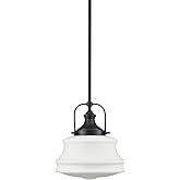 DEYNITE Industrial Pendant Light Fixtures Black Schoolhouse Hanging Adjustable Light for Kitchen Island