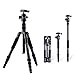 Moman Travel Camera Tripod with 360° Panorama Ball Head, 13.8-61.4 Inches Foldable Height,33.7 lbs Max Payload, Aluminum Alloy Tube for All DSLR & SLR Camera Camcorder