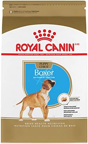 royal canin adult boxer food