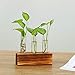 Ivolador Propagation Test Tube Station 3 Glass Test Tube Vase Plants Terrariums for Hydroponic Plants Home Garden Decoration - 3 Test Tube