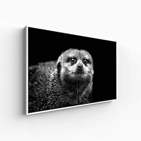 for Living Room Bedroom Animal Portrait Framed for
