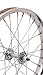 Sta Tru Steel Hub Front Wheel (16X1.75-Inch)