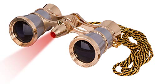 2 Levenhuk+Broadway+Binoculars+silver+accessory