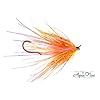 Steelhead-Fly-Fishing-Flies-Assortment-6-Aqua-Flies-3-Motion-Prawns-1-Electric-Leech-2-Mini-Intruders-1-Each-of-6-Essential-Steelhead-Color-Flies-Fishing-Fly-Collection-with-Fly-Box