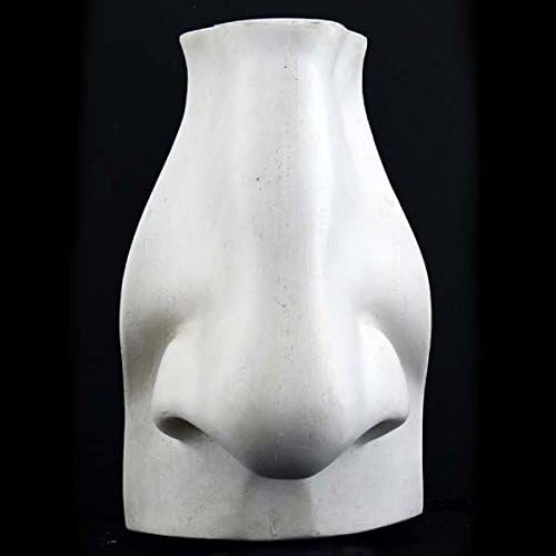 Plaster Cast Large Nose