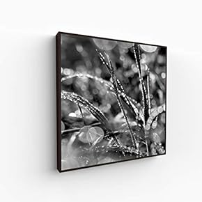 Canvas Wall Art for Living Room, Bedroom Monochrome Image Framed Canvas Prints for Home Decoration Ready to Hang - 16x16 inches