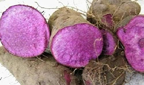1 lb Purple yam (Dioscorea Alata) Ube Filipino Purple Yam NOT Purple Sweet Potato,(Rhizome Tuber)