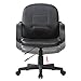 VIVA OFFICE Ergonomic Mid Back Office Chair, Bonded Leather Computer Task Chair