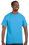 HanesApparel Hanes Men's Double-Needle Seamed Neck T-Shirt