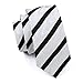 Barry.Wang Men's Classic White Black Striped Tie Set