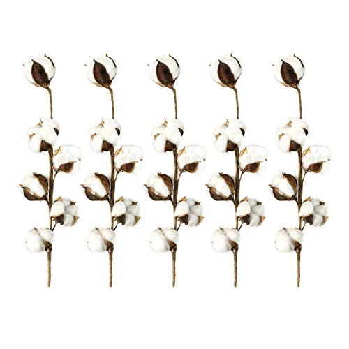Wei Xi Cotton Stems 5 Pack 27 2 Inch Farmhouse Cotton Bolls