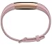 Fitbit FB163ABPKS Alta HR Classic Accessory Band, Small-Light Pink
