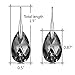 Black Crystal Earrings For Women, Ladies Friends Sterling Silver Hypoallergenic Drop Earring Jewelry
