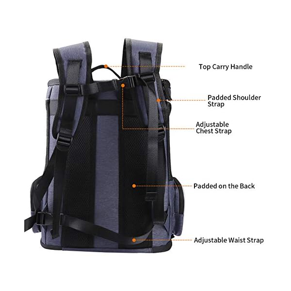 morpilot cat carrier