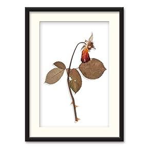 NWT Black Paper Framed Canvas Wall Art for...