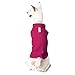 Gooby Fleece Vest Dog Sweater - Fuchsia, Large - Warm Pullover Fleece Dog Jacket with O-Ring Leash for Small to Medium Dogs