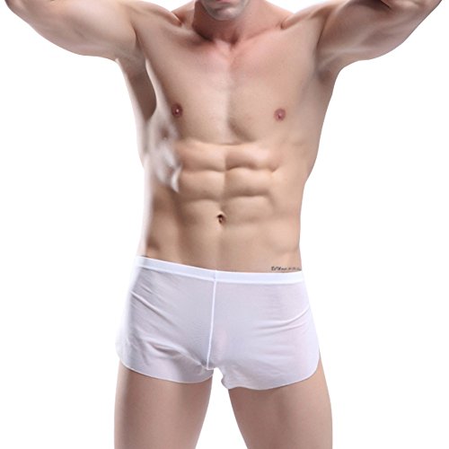 MSemis Mens Underwear Mesh Boxer Briefs Shorts Sheer Split Side Swim Trunks Swimwear